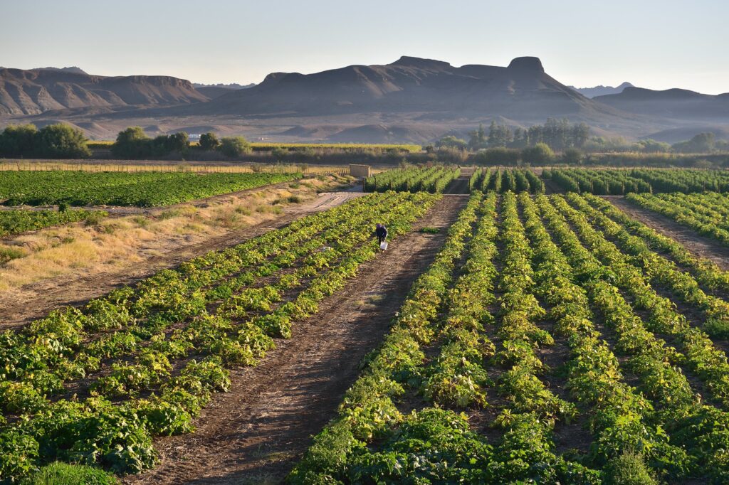 South Africa’s new land act